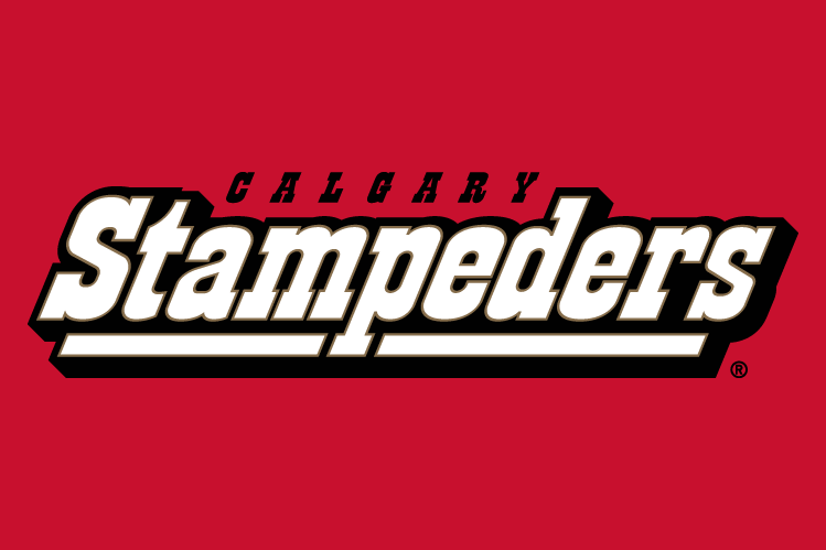calgary stampeders 2000-2011 wordmark logo v3 iron on transfers for clothing